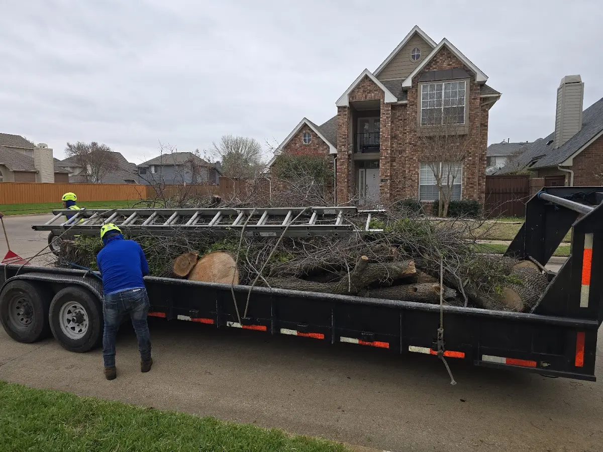 Expert Tree Fertilization with proper safety equipment in Slater